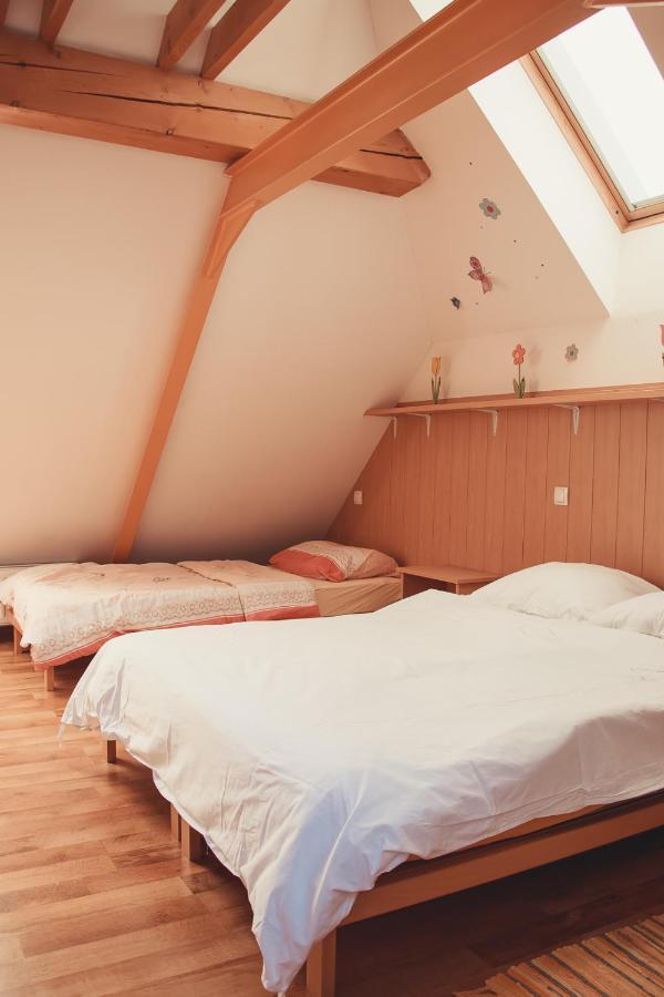 Apartma Soncek, On The Ski Slopes, Balcony, Private Parking 크라니스카고라 외부 사진