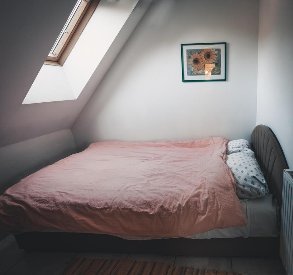 Apartma Soncek, On The Ski Slopes, Balcony, Private Parking 크라니스카고라 외부 사진